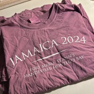 Comfort Colors Vintage Purple Tee